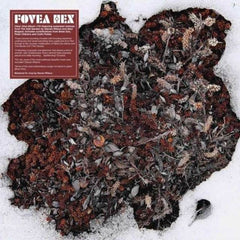 Fovea Hex