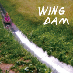 Wing Dam