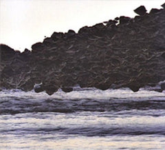 Ossatura