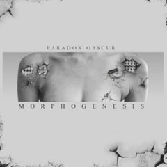 Paradox Obscur