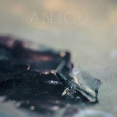 Anjou