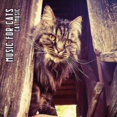 Music for Cats