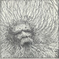 Nemorous