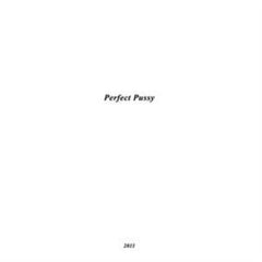 Perfect Pussy
