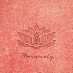 Anaamaly
