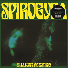Spirogyra