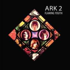 Flaming Youth