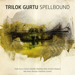 Trilok Gurtu
