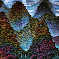 Wang Wen