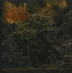 Postcoital Ulceration