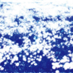 Ovum