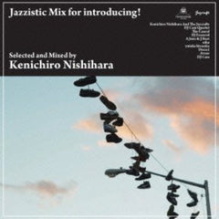 Kenichiro Nishihara