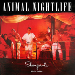 Animal Nightlife
