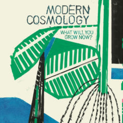 Modern Cosmology