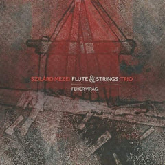 Szilard Mezei Flute & Strings Trio