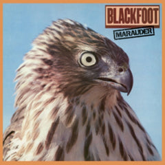 Blackfoot