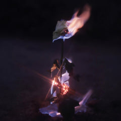 Farwarmth