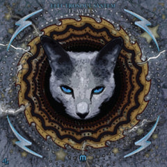 Electrosoul System