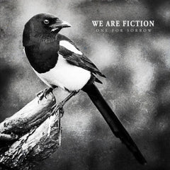 We Are Fiction