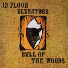 13th Floor Elevators