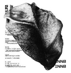 BNNT