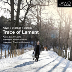 AUDUN SANDVIK / NORWEGIAN RADIO ORCHESTRA / NORWEGIAN CHAMBER