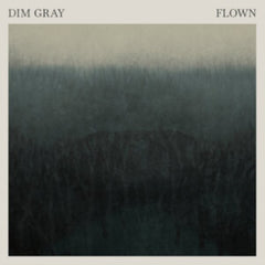 Dim Gray