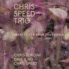 Chris Speed Trio