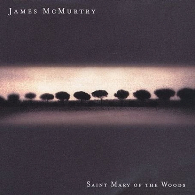 Saint Mary Of The Woods