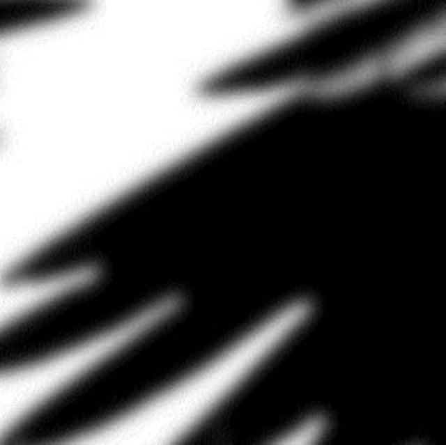 Ravens
