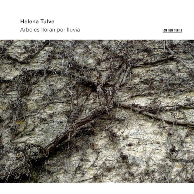 Tulve: Arboles Lloran Por Lluvia