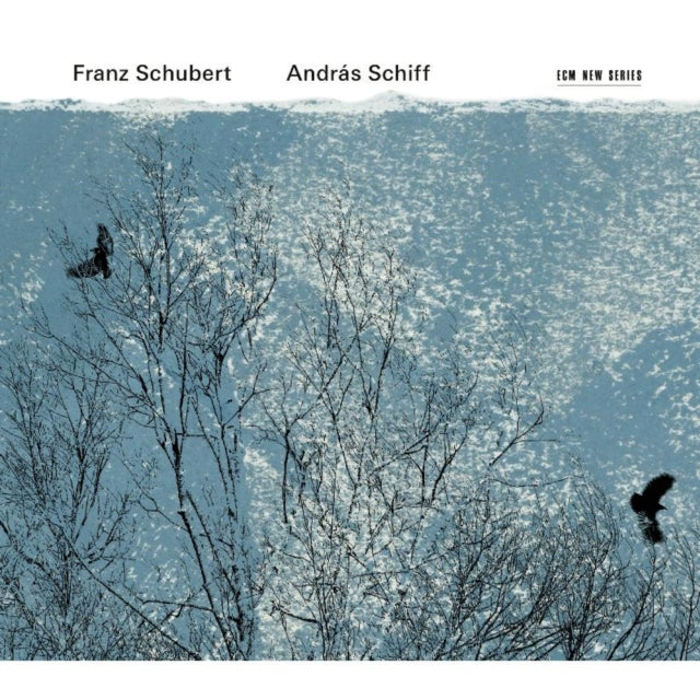 Franz Schubert: Andras Schiff