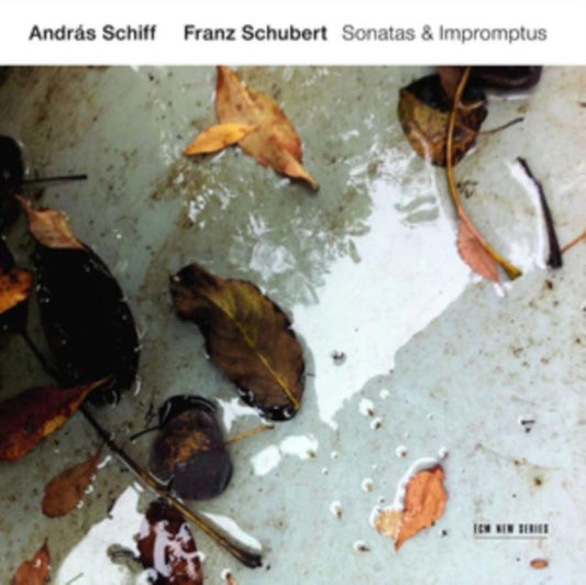 Franz Schubert: Sonatas & Impromptus