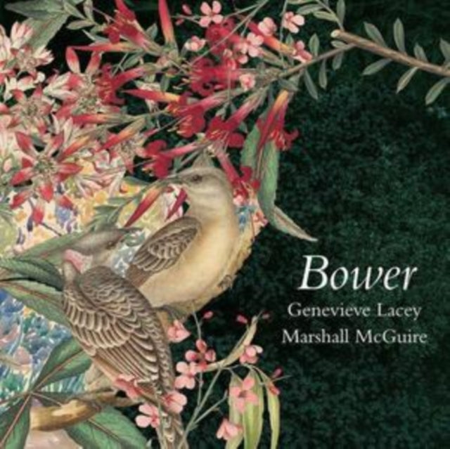 Genevieve Lacey/Marshall McGuire: Bower