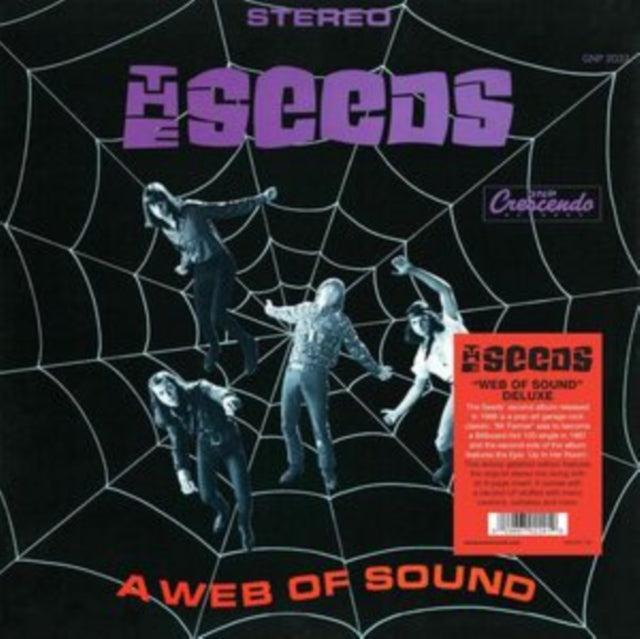 A Web of Sound