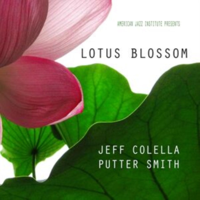 Lotus Blossom