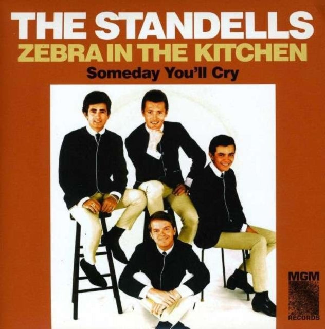 Zebra In The Kitchen / Someday Youll Cry