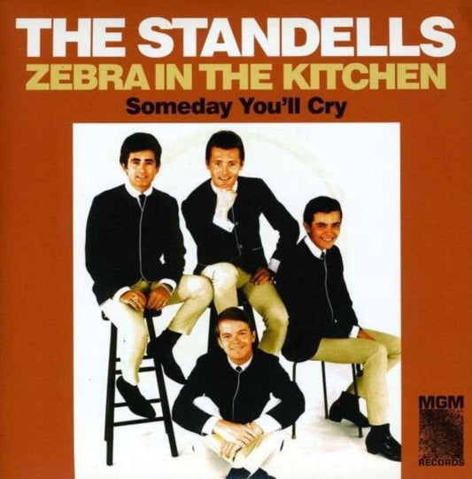 Zebra In The Kitchen / Someday Youll Cry