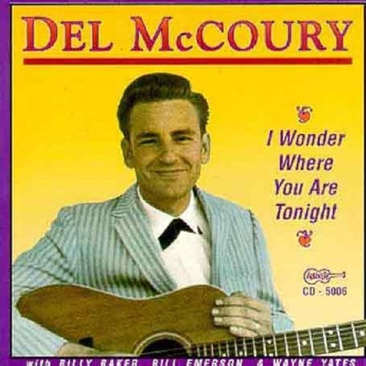 I Wonder Where You Are Tonight