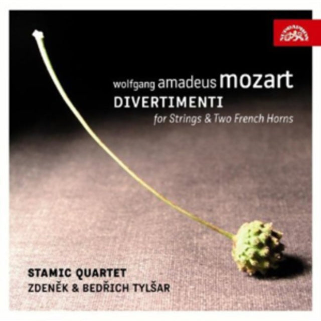 Wolfgang Amadeus Mozart: Divertimenti for Strings...