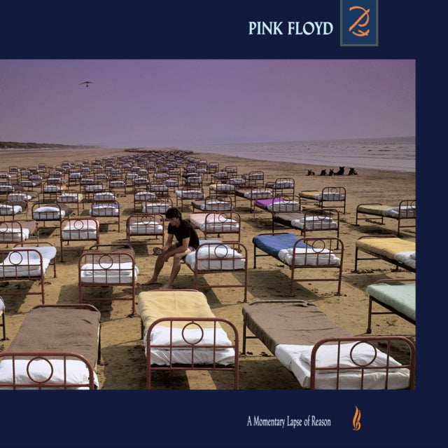 A Momentary Lapse of Reason