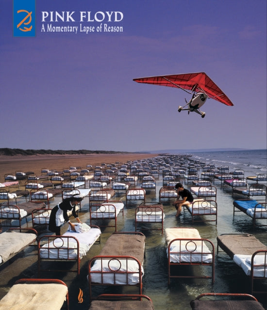Momentary Lapse Of Reason (Remixed & Updated)