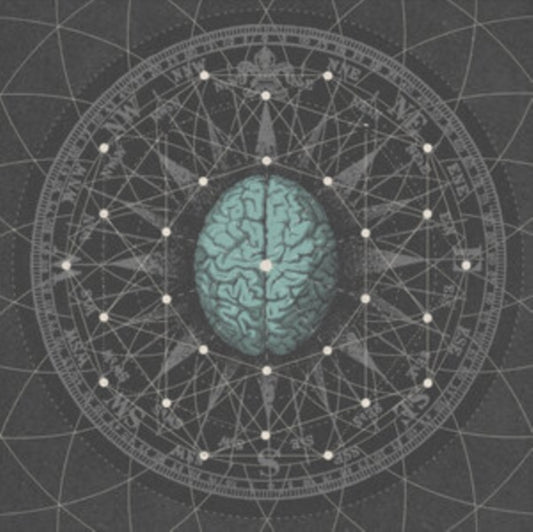Metaphysisize