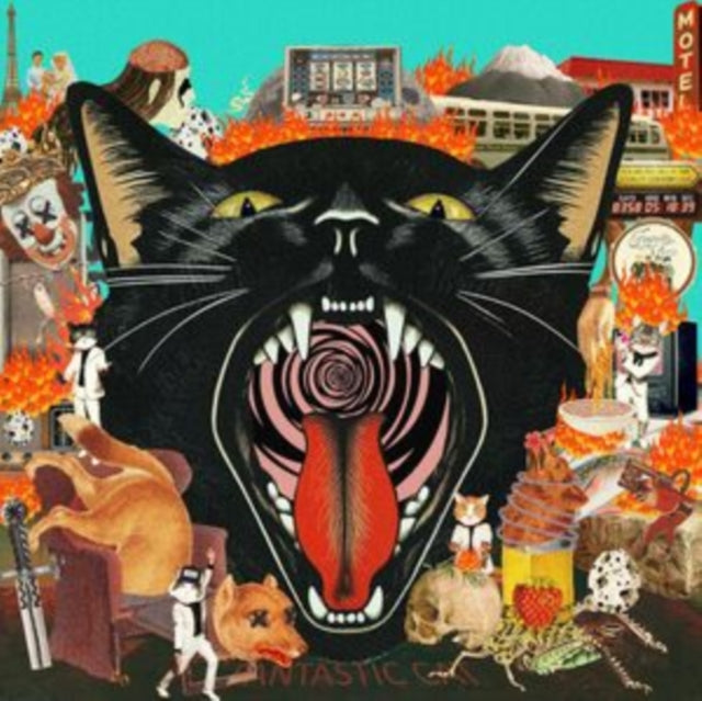 Cat Out of Hell
