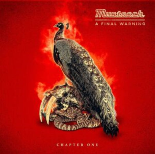 A Final Warning