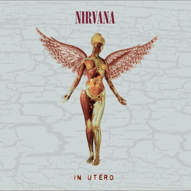 In Utero