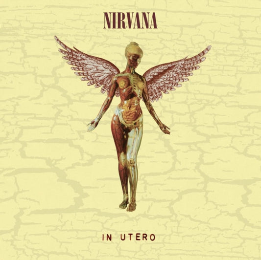 In Utero