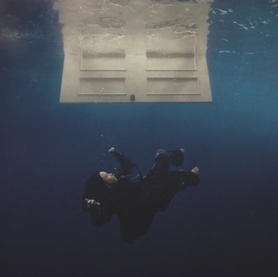 HIT ME HARD and SOFT (Recycled Black Vinyl Gatefold)