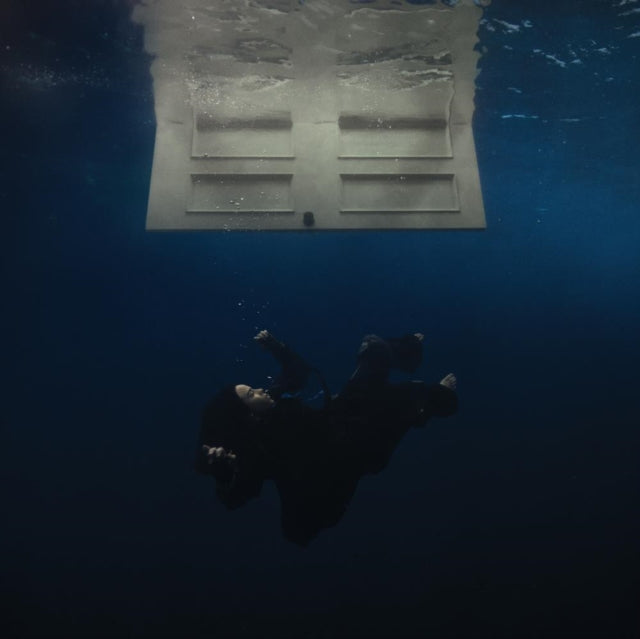 HIT ME HARD and SOFT (Special Anniversary Edition)