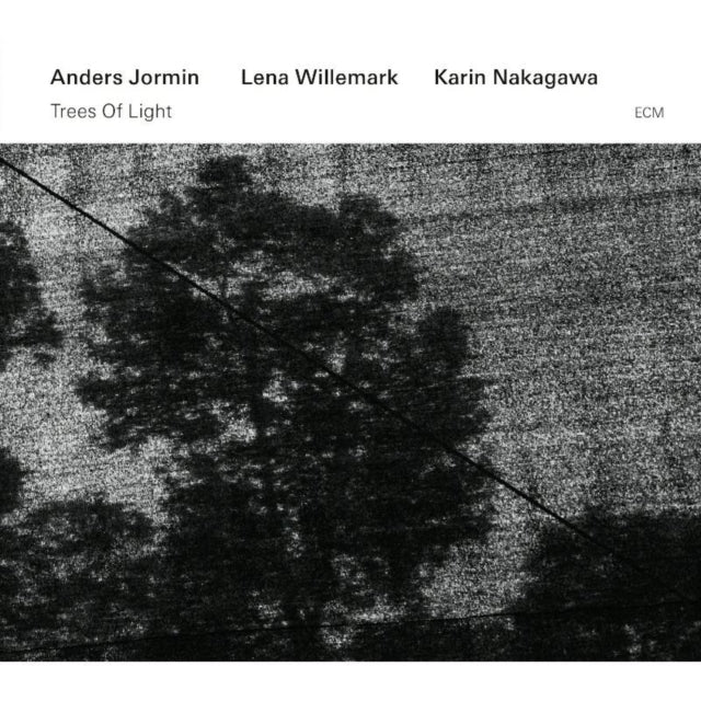 Trees of Light
